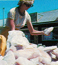 Quartz: State Mineral