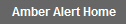 Amber Alert Home Page